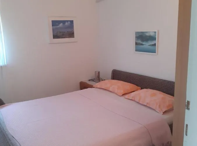 Проживание в семье Cigir